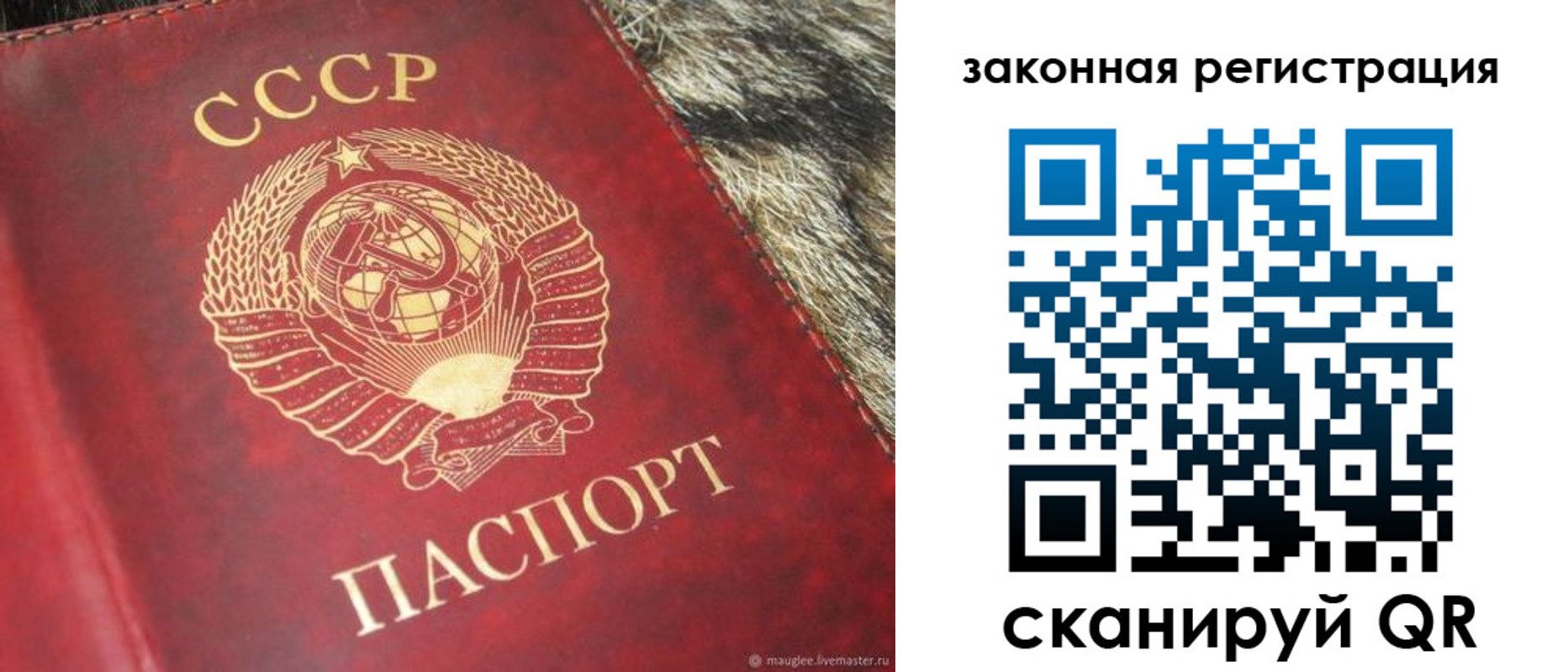 прописка от собственника в Болотном
